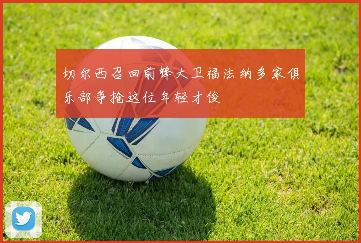 切尔西召回前锋大卫福法纳多家俱乐部争抢这位年轻才俊